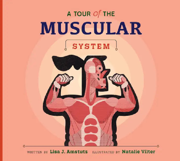 A Tour of the Muscular System (English, Lisa J. Amstutz | Natalie Vilter)