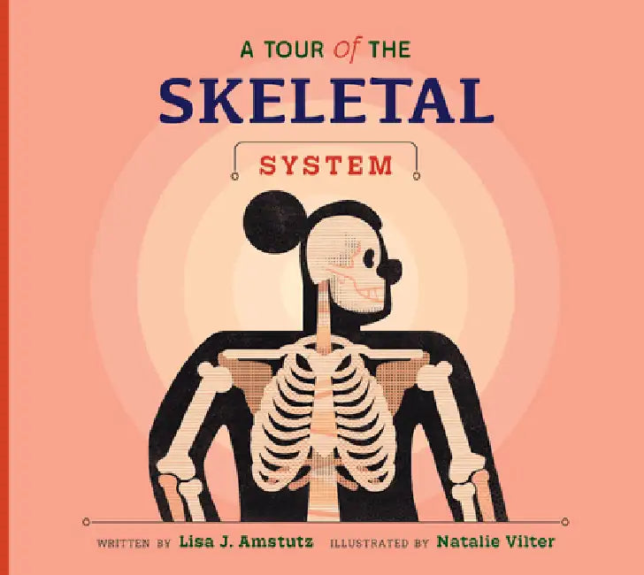 A Tour of the Skeletal System (English, Lisa J. Amstutz | Natalie Vilter)
