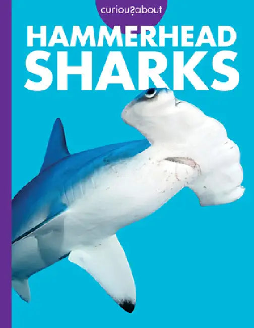 Curious about Hammerhead Sharks (English, Monika Davies)