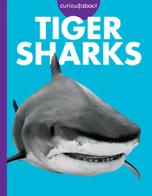 Curious about Tiger Sharks (English, Debra Randorf)