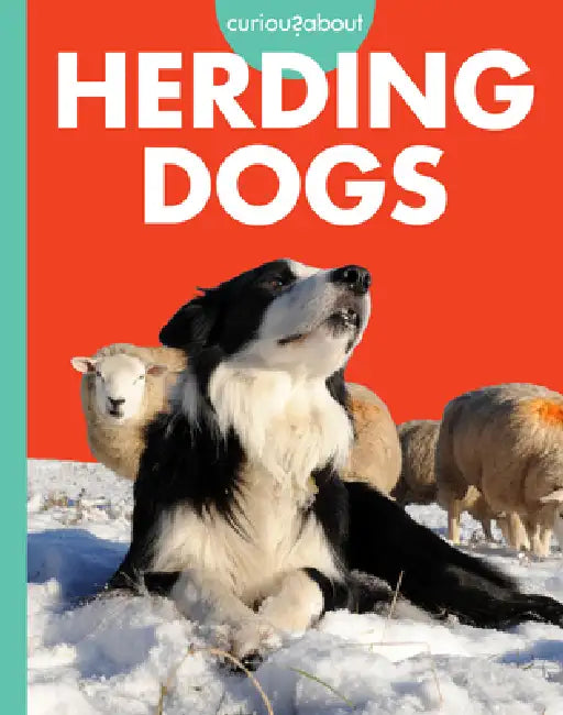 Curious about Herding Dogs (English, Cari Meister)