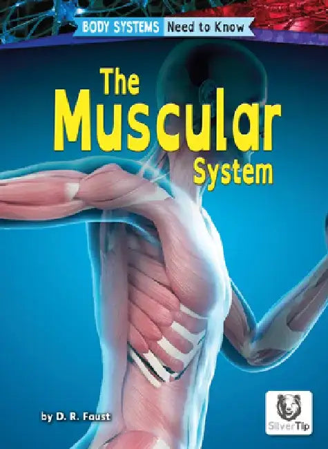 The Muscular System (English, D. R. Faust)