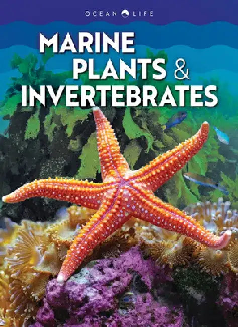 Marine Plants & Invertebrates (English, Claudia Martin)