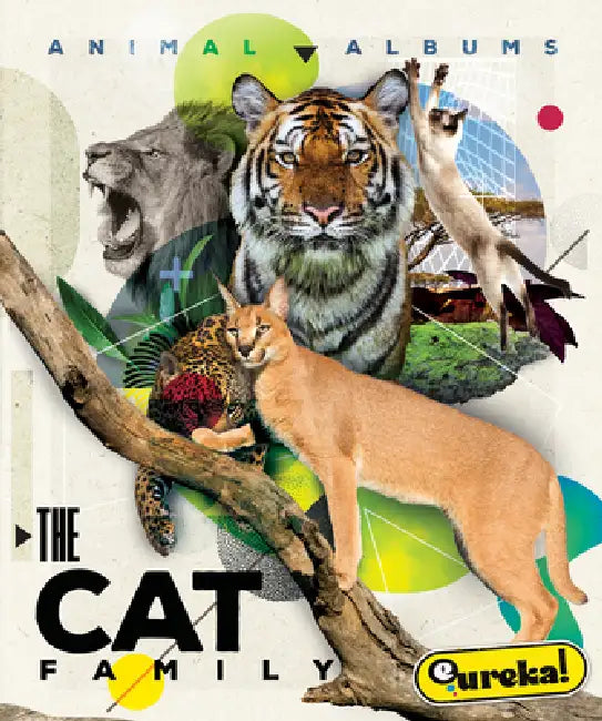 The Cat Family (English, Golriz Golkar)