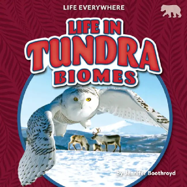 Life in Tundra Biomes (English, Jennifer Boothroyd)