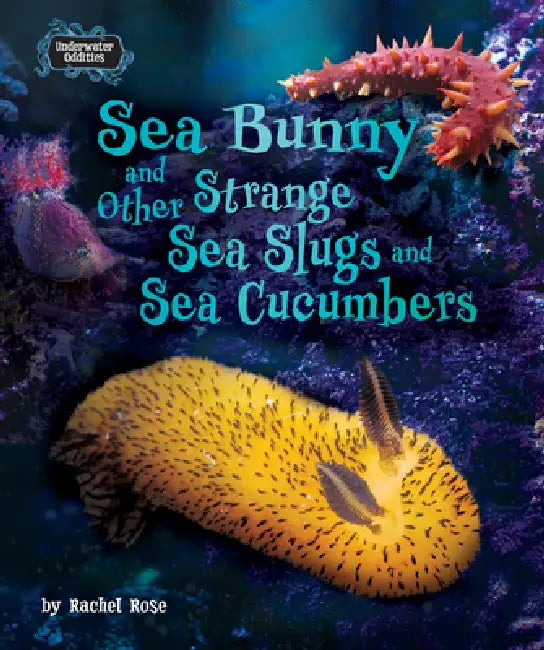 Sea Bunny and Other Strange Sea Slugs and Sea Cucumbers (English, Rachel Rose)