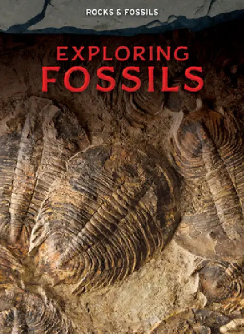 Exploring Fossils (English, Claudia Martin)