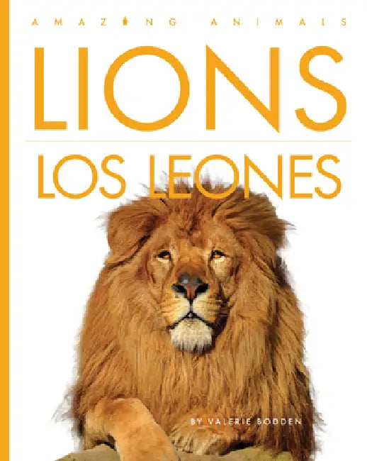 Lions / Los Leones (English, Valerie Bodden)