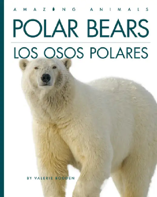 Polar Bears / Los Osos Polares (English, Valerie Bodden)