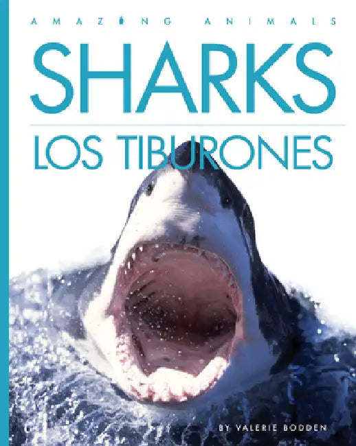 Sharks / Los Tiburones (English, Valerie Bodden)