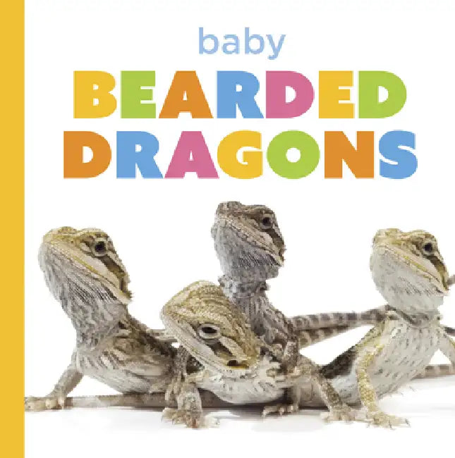 Baby Bearded Dragons (English, Laura K. Murray)