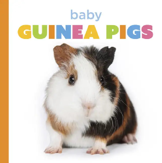 Baby Guinea Pigs (English, Laura K. Murray)