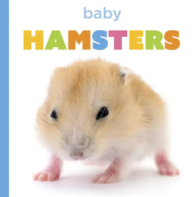 Baby Hamsters (English, Laura K. Murray)