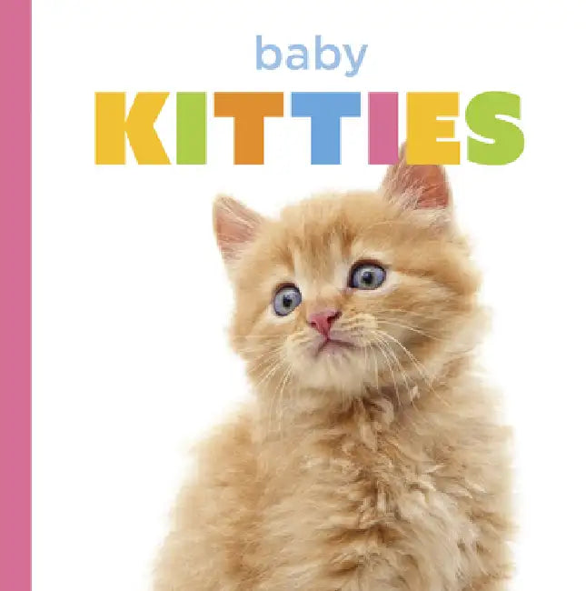 Baby Kitties (English, Laura K. Murray)