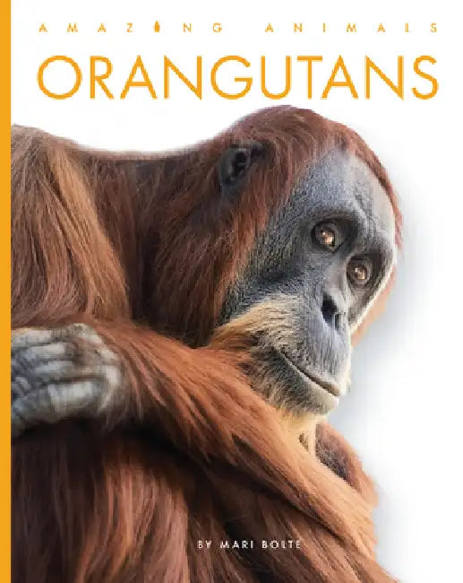 Orangutans (English, Mari Bolte)