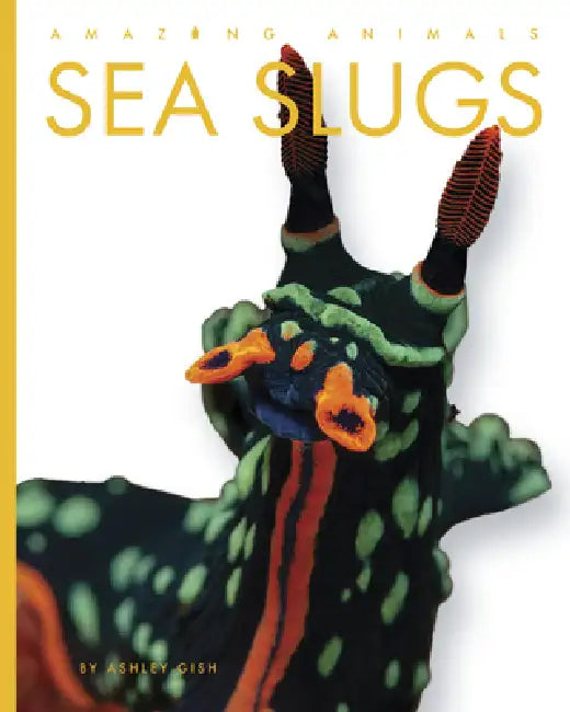 Sea Slugs (English, Ashley Gish)