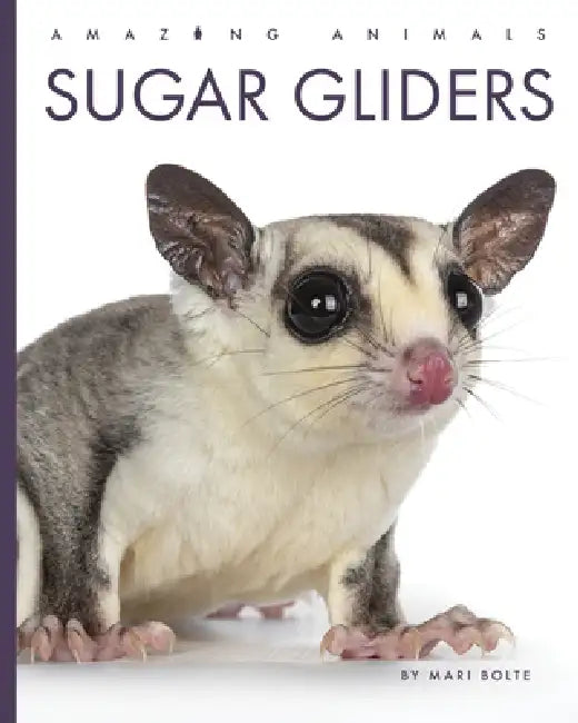 Sugar Gliders (English, Mari Bolte)