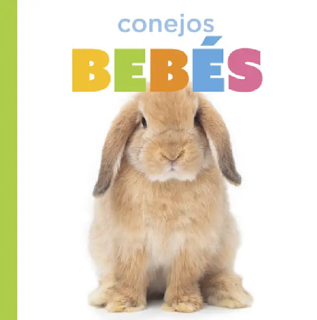 Conejos Bebés (English, Laura K. Murray)