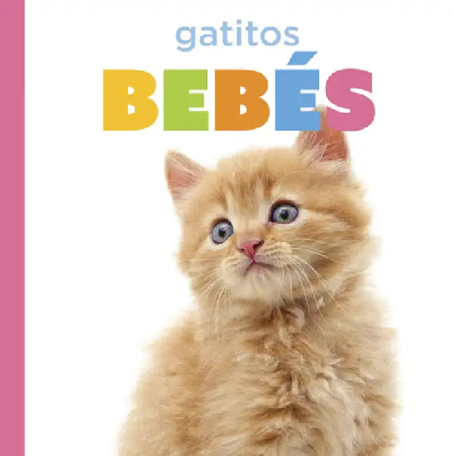 Gatitos Bebés (English, Laura K. Murray)