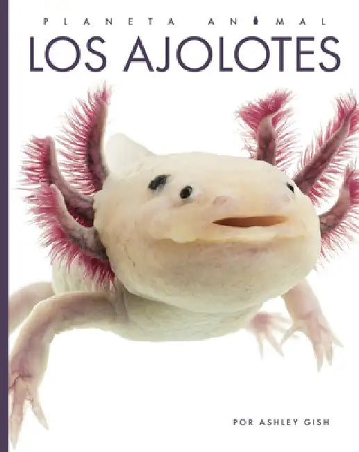 Los Ajolotes (English, Ashley Gish)