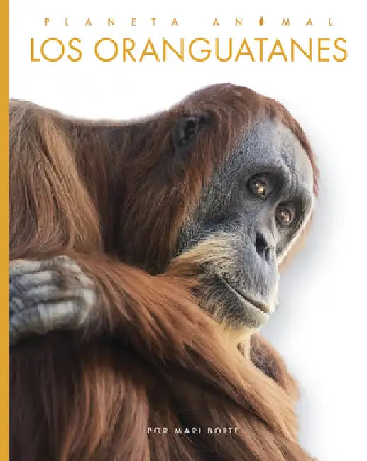 Los Oranguatanes (English, Mari Bolte)