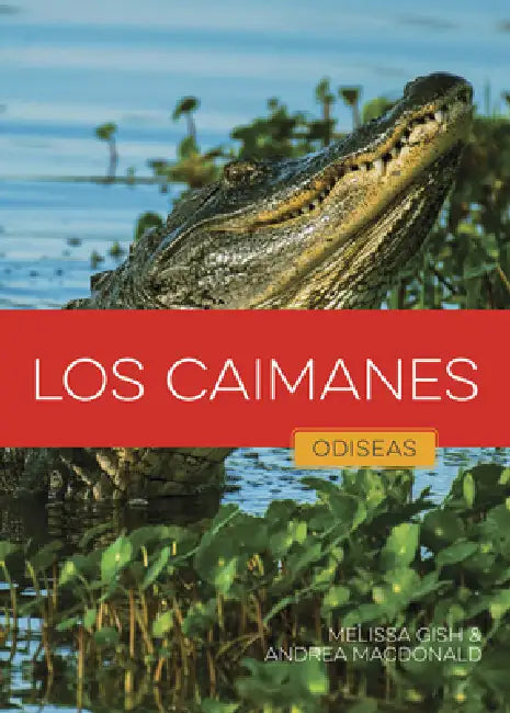 Los Caimanes (English, Melissa Gish | Andrea MacDonald)