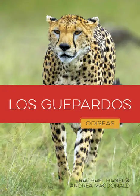 Los Guepardos (English, Rachael Hanel | Andrea MacDonald)