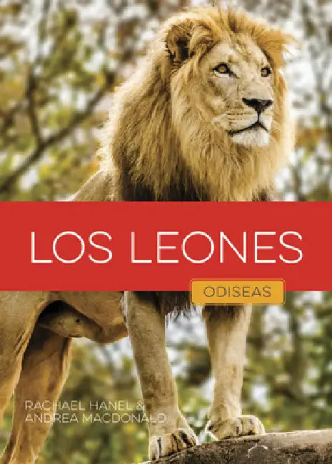 Los Leones (English, Rachael Hanel | Andrea MacDonald)
