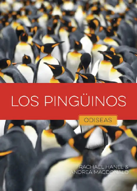 Los Pingüinos (English, Rachael Hanel | Andrea MacDonald)