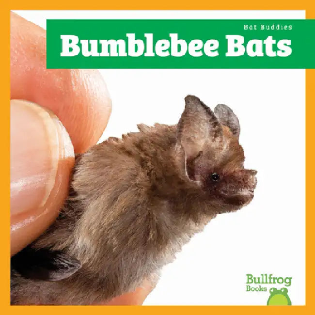 Bumblebee Bats (English, Jenna Lee Gleisner)