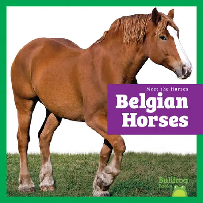 Belgian Horses (English, Rachel Grack)