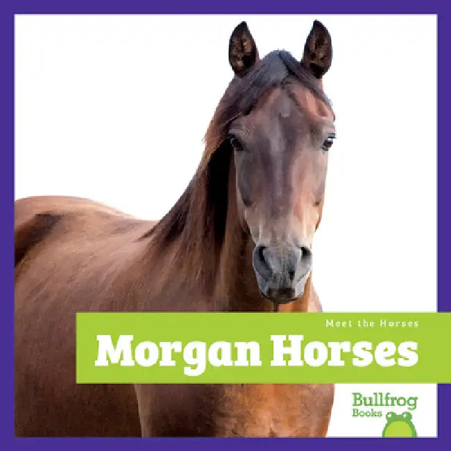 Morgan Horses (English, Rachel Grack)