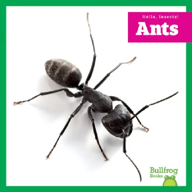 Ants (English, Adeline J. Zimmerman)