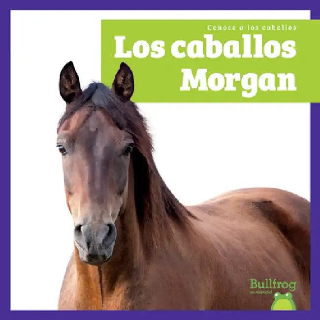 Los Caballos Morgan (Morgan Horses) (English, Rachel Grack)