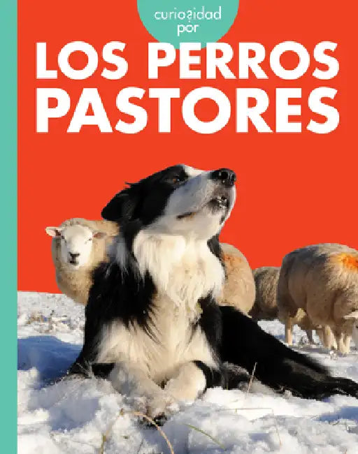 Curiosidad Por Los Perros Pastores (English, Cari Meister)