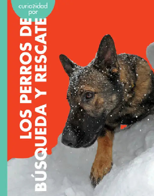 Curiosidad Por Los Perros de Búsqueda Y Rescate (English, Cari Meister)